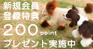 ILIO Online Store 新規会員募集