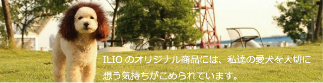 ILIO Online Store ILIOオリジナル商品おススメTOP