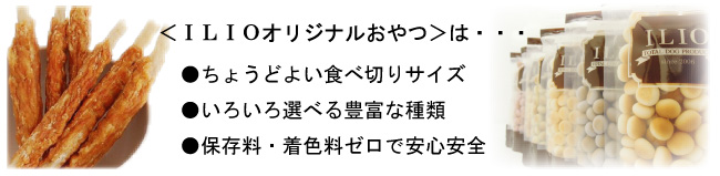 ILIOオリジナルおやつとは